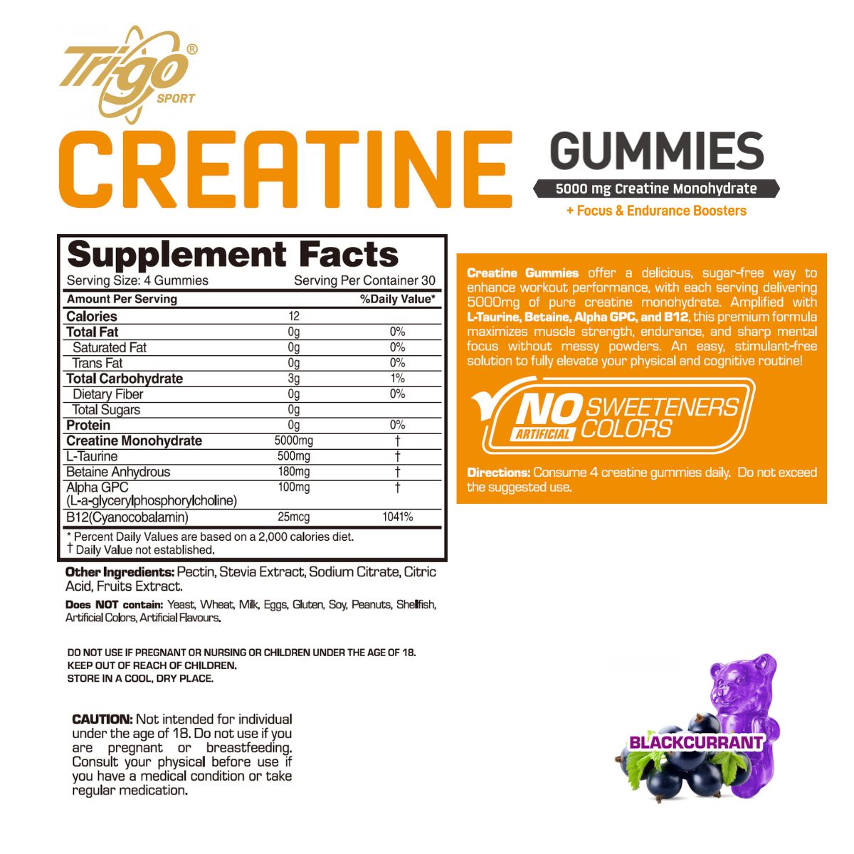Creatine Gummies + Focus & Endurance Boosters (30serv)